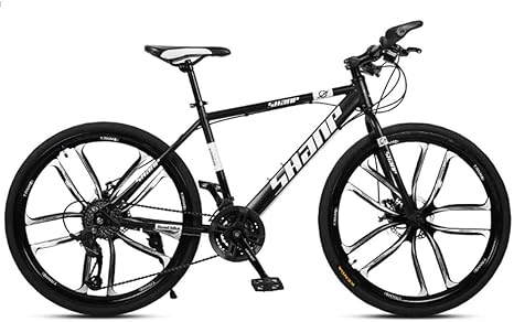 30 speed bike