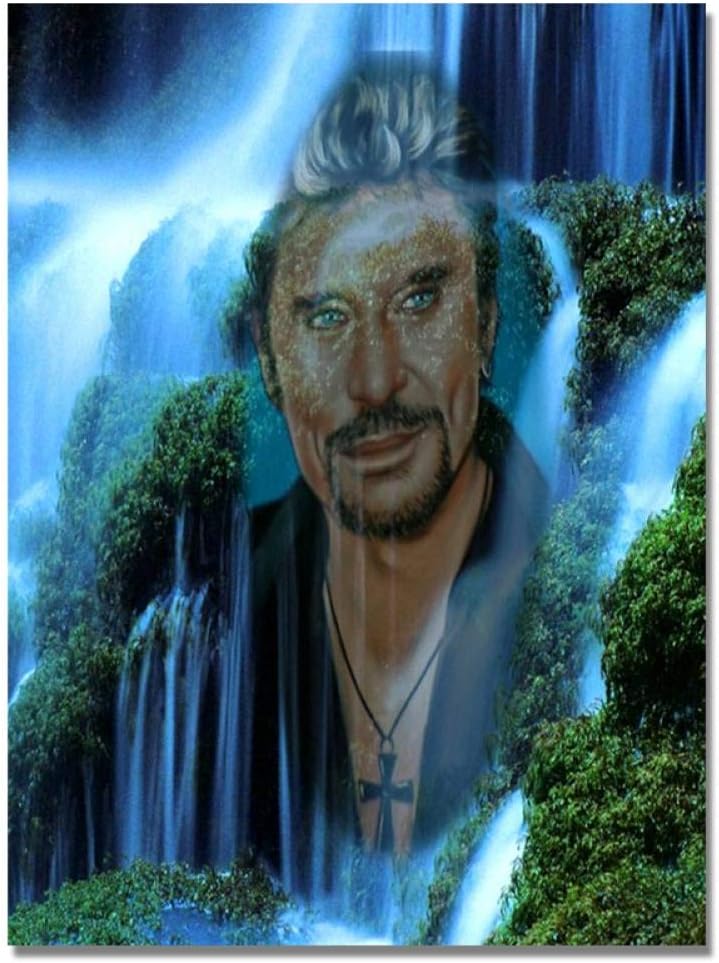 Prix D'épargne Le Prix Bas Quotidien GwyaKawaru Diamant Broderie 5d Bricolage Johnny Hallyday