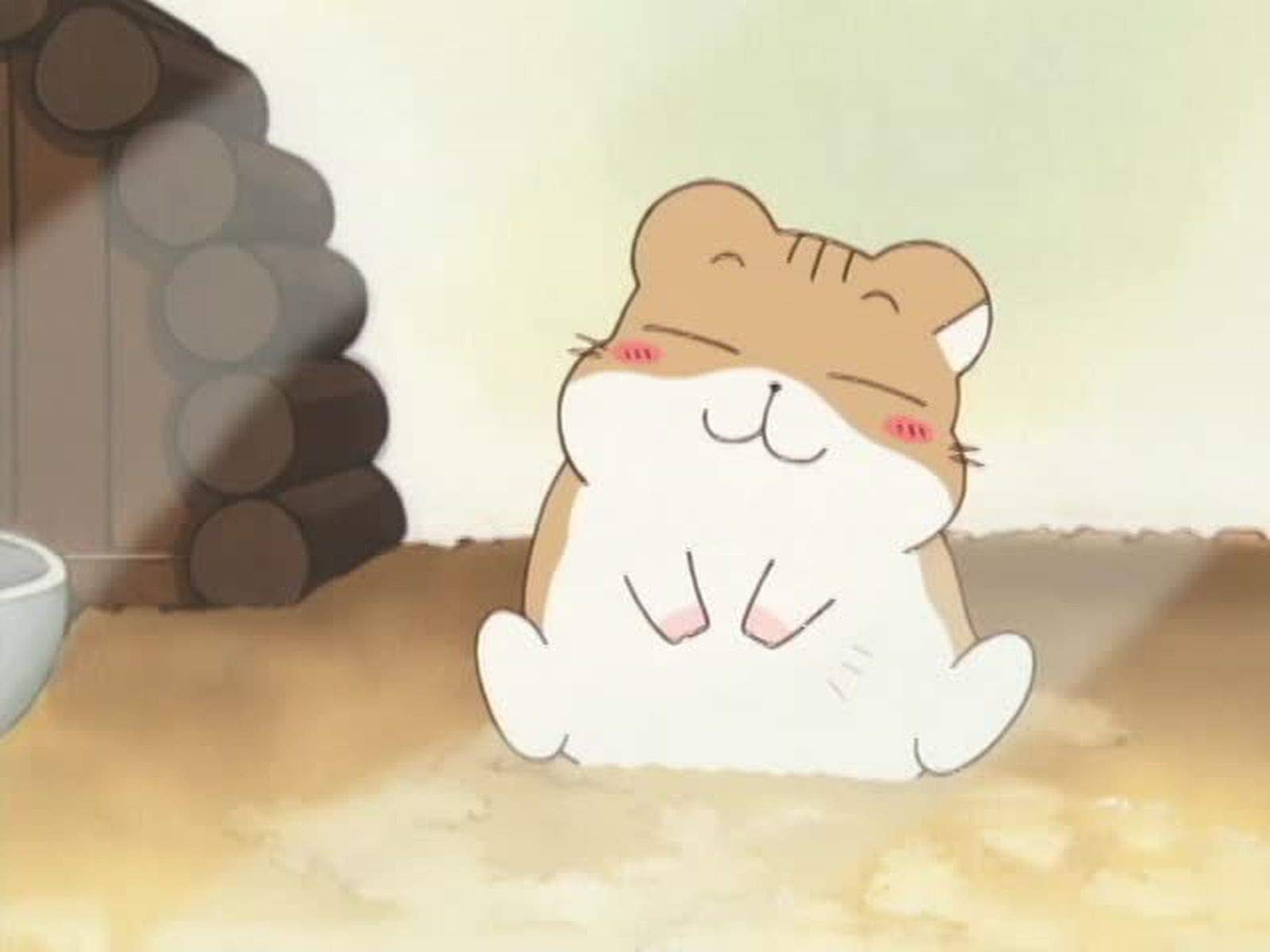 Amazon Co Jp ハムスター倶楽部 Dアニメストア を観る Prime Video