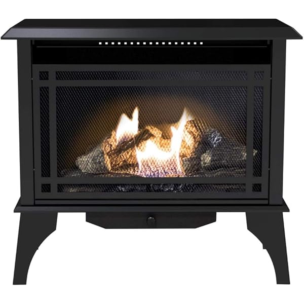 Amazon.com: Comfort Glow GSD2846 The Monterey Propane (LP) or Natural Gas  (NG) Vent-Free 30,000 BTU Gas Stove