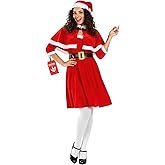fun shack Mrs Claus Costume Adult Women, Santa Dress, Mrs Claus Costume For Women, Female Santa Costumes, Festive Attire