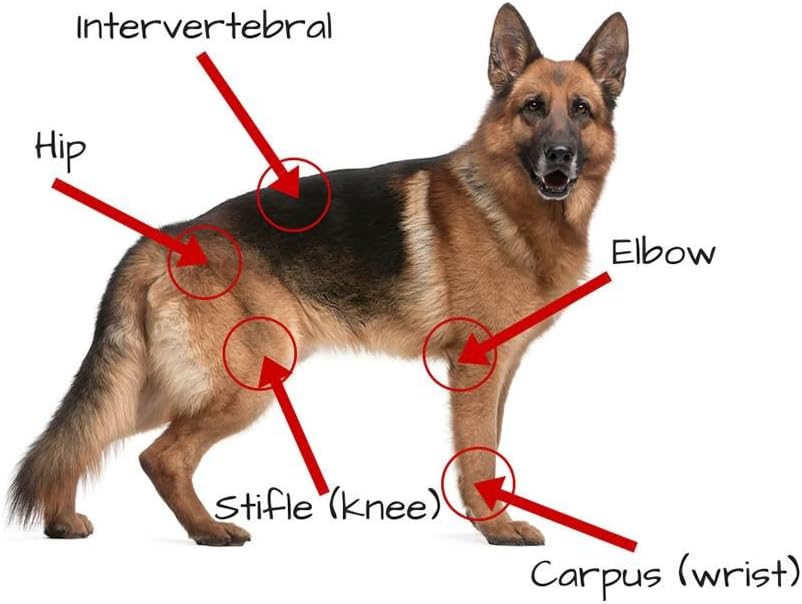 extend joint supplement