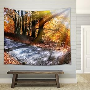 Panoramic Autumn Landscape with Country Road in Orange Tone. Nature Background - Fabric Wall Tapestry Home Decor - 51x60 inches