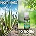 Aloe Life – Skin Gel & Herbs Ultimate Skin Treatment, 99% Certified Organic Whole Leaf Aloe Vera, Vitamins C, A, & E, Head-to-Toe Skin Care Support for the Whole Family, Fragrance-Free (1 oz)