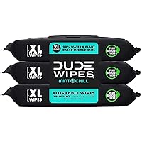 DUDE Wipes Flushable Wet Wipes Dispenser, Mint Chill, 48 Count (Pack of 3) Scented Wet Wipes with Vitamin-E, Aloe, Eucalyptus