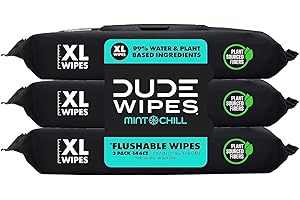 DUDE Wipes Flushable Wet Wipes Dispenser, Mint Chill, 48 Count (Pack of 3) Scented Wet Wipes with Vitamin-E, Aloe, Eucalyptus