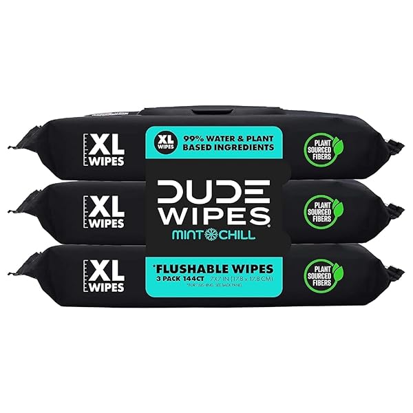 DUDE WIPES FLUSHABLE WIPES – 3 PACK, 144 COUNT – MINT CHILL EXTRA-LARGE WITH VITAMIN-E, ALOE, EUCALYPTUS & TEA TREE OILS – SEPTIC AND SEWER SAFE