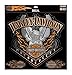 Harley-Davidson Eagle Pinstripes Decal, 4 Stickers Per Sheet, 3XL Size DC118307