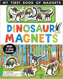 Dinosaur Magnets (My First Book of Magnets)
