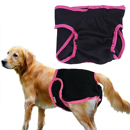 free dog underwear