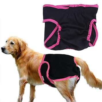 Rrimin Cotton Briefs for Female Pet Puppy (Medium)