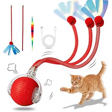 Amazon.com New Releases: The best-selling new & future releases in Cat Toy  Balls
