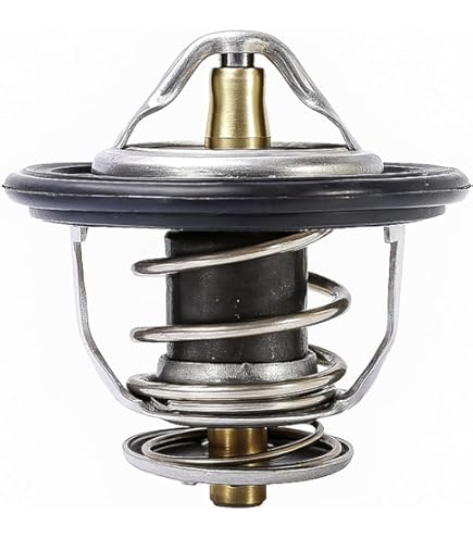 Amazon.com: 1830256C93 Thermostat Kit Fit Fit for International