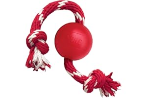 KONG Ball with Rope - Durable Fetch Toy with Rope for Easy Throwing - For Tug, Playtime & More - Natural Rubber - Red - For Small Dogs