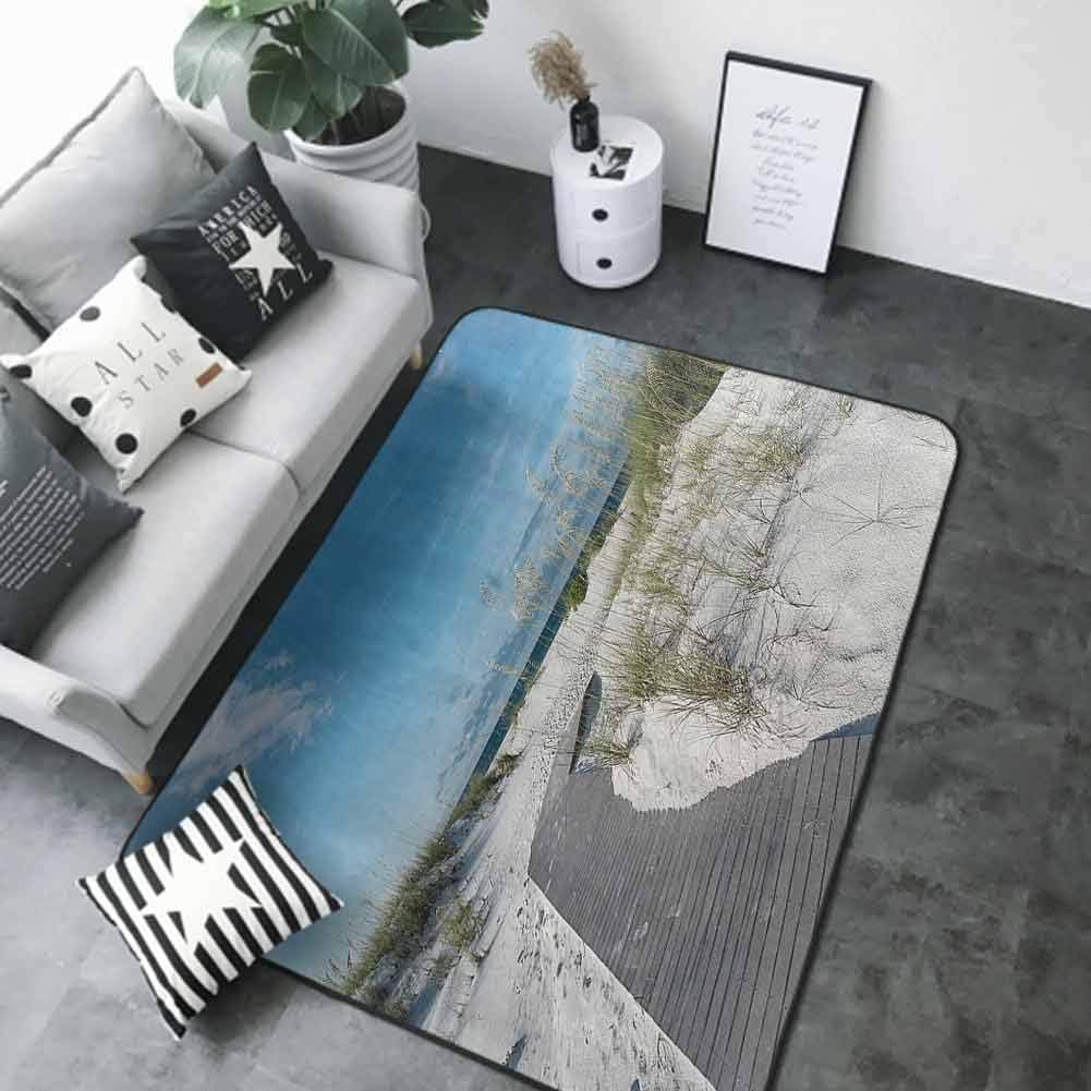 Home Bedroom Floor Mats Seaside Decor Collection,Rustic Beach Pathway Heads to The Water in Florida Santa Rosa Island Summer Travel Photo,Blue Light Grey 64"x 96" Rugs