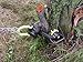 Brush Grubber BG-20 Xtreme Plus, Tree and Stump Remover, Black