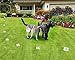 High Tech Pet X-10 2-Dog Super Electronic Dog Fence