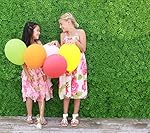 Artificial Boxwood Topiary Hedge Plant Suitable for Both Outdoor or Indoor, Garden, Backyard and Home Decor. Use as Greenery Walls or Privacy Screen. Panels 20" x 20" (6-pack).