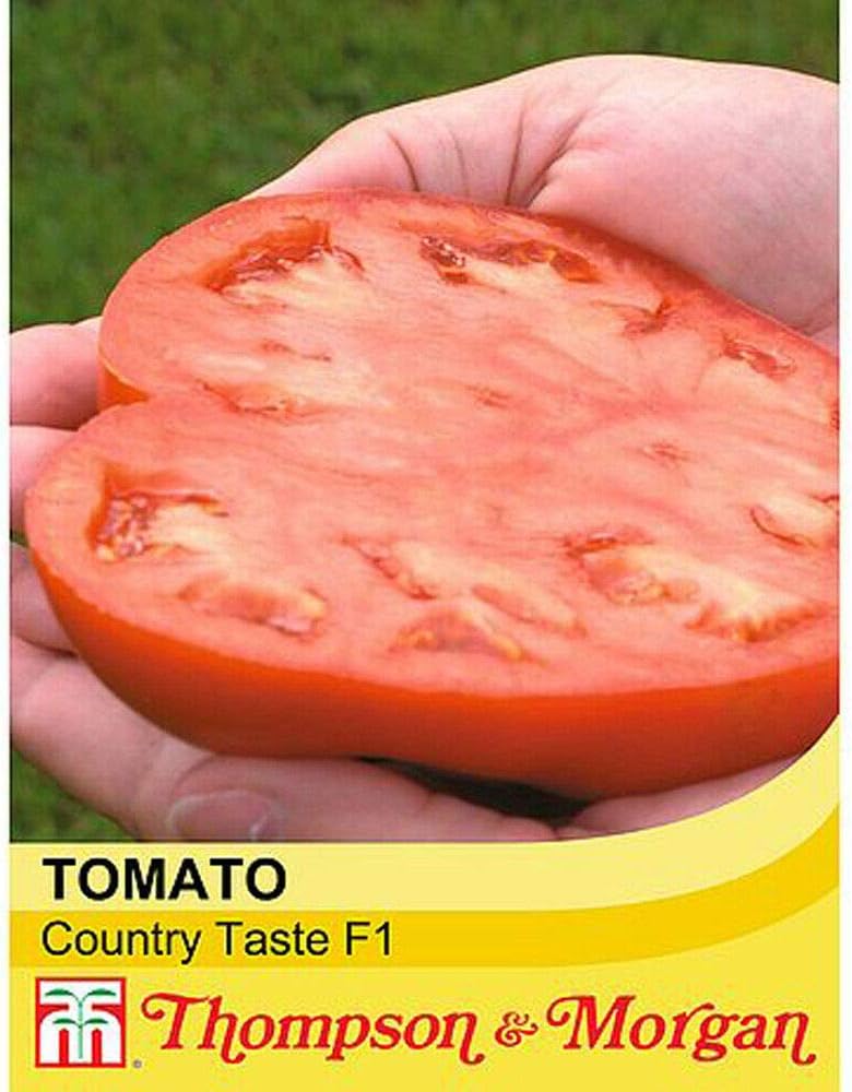 Tomato 'Country Taste' Seeds Half Hardy Annual Vegetables Garden Plants Easy to Grow Your Own Tomato 'Country Taste' 1 Packet of 6 Seeds by Thompson and Morgan - Image 3