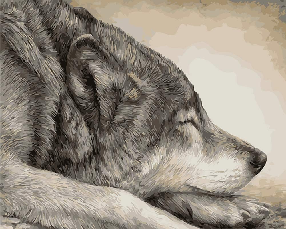 YEESAM ART Paint by Numbers for Adults Kids, Grey Wolf Sleeping 16x20 Inch Linen Canvas Acrylic DIY Number Painting Kits Wall Art Decor Gifts (Framed)