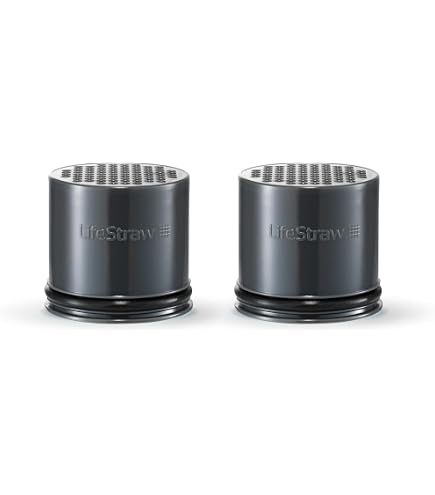 Pack De 4 Filtres à Eau Personnels LifeStraw - Randonnée