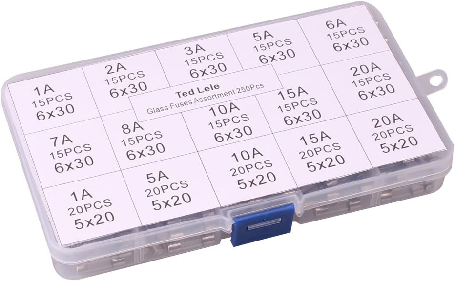 250pcs Quick Blow Glass Tube Fuse Assorted Kit 250V 1A, 2A, 3A, 5A, 6A, 7A, 8A, 10A, 15A,20A, 6x30mm, 250V 1A, 5A, 10A, 15A, 20A, 5x20mm Ted Lele (5x20mm and 6x30mm)