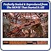 Jurassic Park Banner Sign Replica Prop - Jurassic Park/World Movie Fan Props -Toys - Games - Shirts. 3 Sizes: 10 Ft, 20 Ft or 30 Ft :