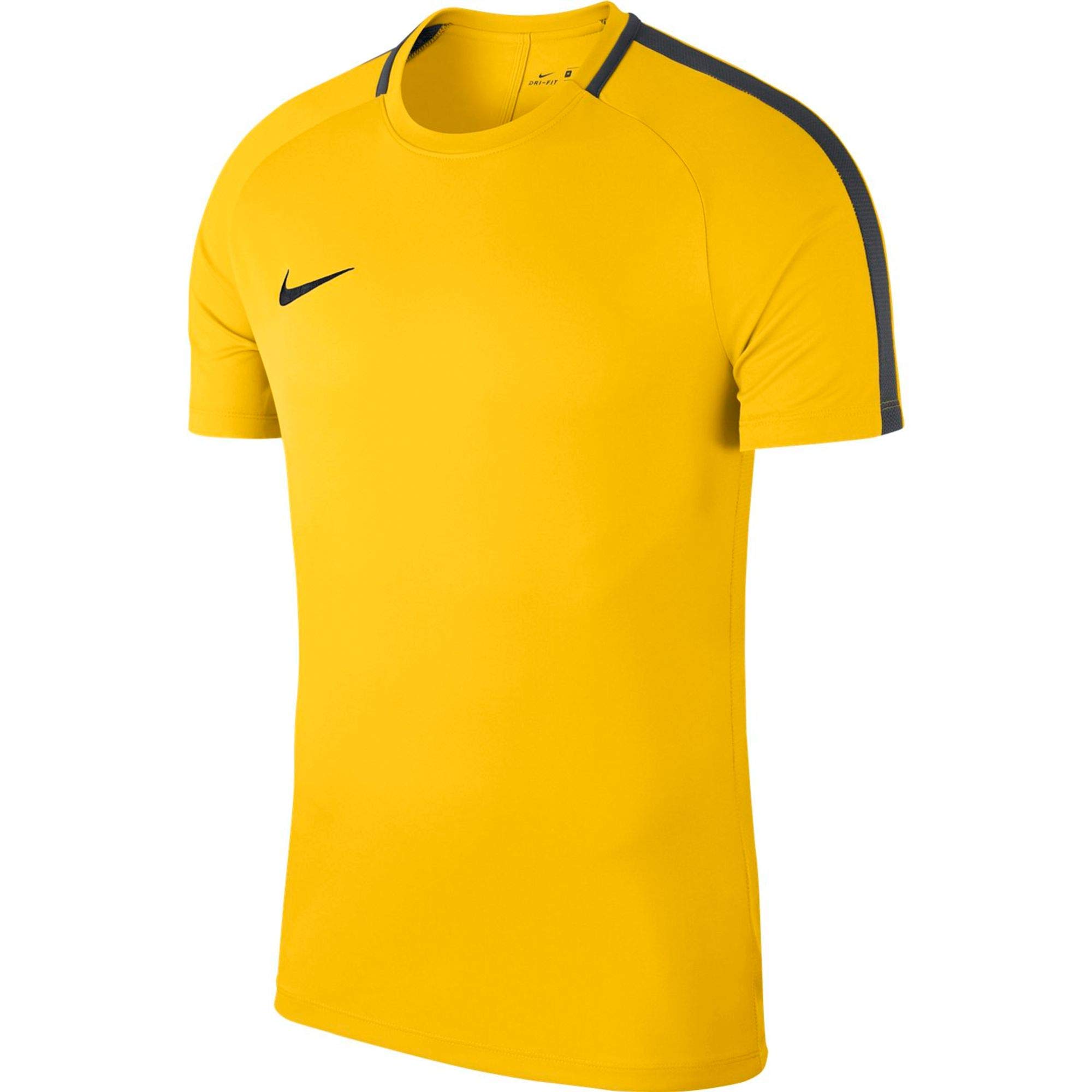 NIKE Top Training Academy 18, 893693