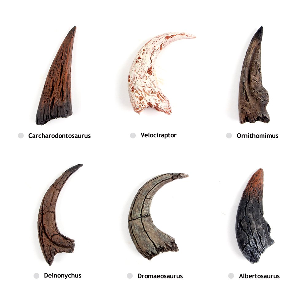 XX Excavation Dig Kit for Kids Dinosaur Claw Toy 6 Styles to Collect