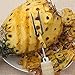 Lxnoap V Shape Stainless Steel Pineapple Eye Peeler Remover