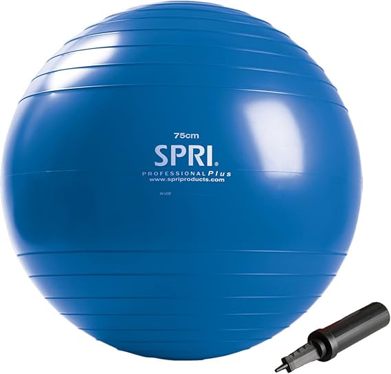 spri 55cm exercise ball