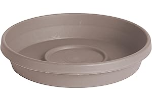 Bloem Terra Resin Saucer Tray: 8" Bottom Width - Pebble Stone Beige - Matte, Durable, Ribbed Bottom, Indoor and Outdoor, Fits 10" Terra Pots