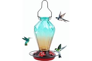 MCHBF Glass Hummingbird Feeder for Outdoors Hanging, 25Oz Humming Bird Nectar Feeder, Perch, 5 Flower Feeding Ports, Leak Proof Base, Hook for Outside Garden Backyard, Gift for Women, Diamond Green