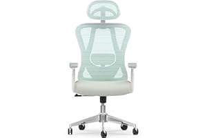 naspaluro Ergonomic Office Chair：High Back Desk Chair with 3D Adjustable Armrest and Headrest,2D Lumbar Support,135° Rocking Backrest,Mesh Computer Chair for Home Office,Study,Green