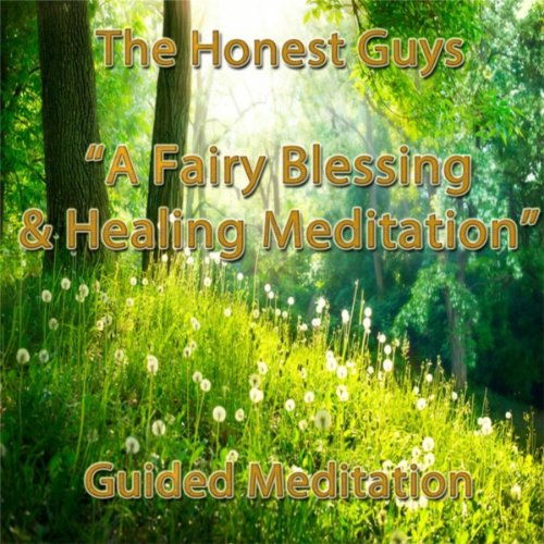The Honest Guys Healing Meditation