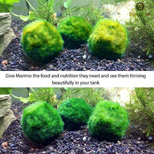Luffy Plump Your marimo Fertilizer - Marimo Food boosts Growth - Imparts and enhances Color - Regular Dosage Results in fluffier marimos