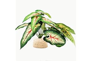 KERUIDENG Reptile Plants for Terrarium Decor,Amphibian Habitat Decor, Bearded Dragon Tank Accessories,Artificial Plants for Gecko Chameleon Snake Tortoise with Base (Alocasia odora)