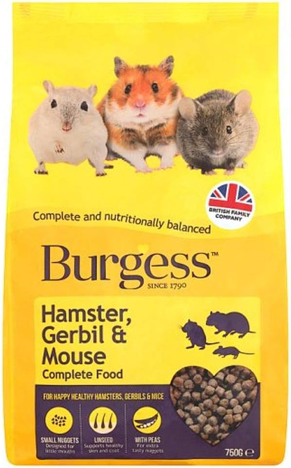 dachshund husky mix puppy