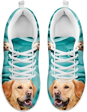 labrador shoes
