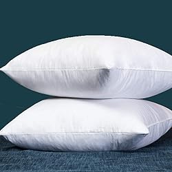 Set of 2, Square Decorative Throw Pillows Inserts