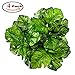 Z-Liant Artificial Plant Leaves : Pack of 4 | Monstera Palm Leaves | Palm Leaves Decorations | Artificial Shrubs Decorations | Fake Simulation Greenery Decorations | Garden-Office-Indoor&outdoor Decor
