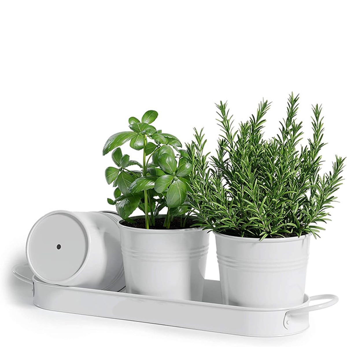 BSTMOME Herb Pot Planter Set with Tray for Indoor Garden Outdoor Use, Decorative White Metal Succulent Pots Windowsill Planter Pots for Kitchen Grow (White)