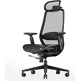 ProtoArc EC200 Pro Ergonomic Mesh Office Chair for Remote Work, Black | 4D Armrests, Adjustable Lumbar &amp; Seat Depth, 3D Headrest, Ergonomic Desk Chair for Home Office Programmers