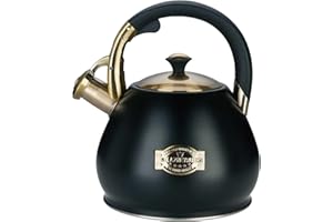 LAZNEYRU Tea Kettle Stovetop Whistling Kettle Teapot, 3Quart Tea Pot Stainless Steel Teakettle for Stove Top with Heat Proof Ergonomic Handle
