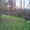 Antler-King-Slam-Dunk-Hunt-Plot-Attractant