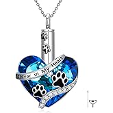 POTOPYY Urn Necklace for Ashes S925 Sterling Silver Meaningful Cremation Keepsake Jewelry Gifts for Women, 18+2 Inch