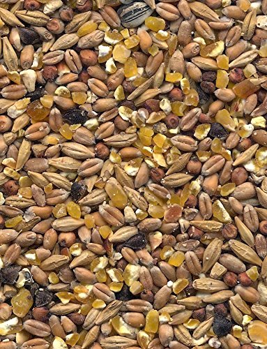 Havens Scharrel-Graan 25 kg – Bild 4