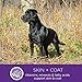 Wellness 95% Lamb Natural Wet Grain Free Canned Dog Food, 13.2-Ounce Can (Pack of 12)