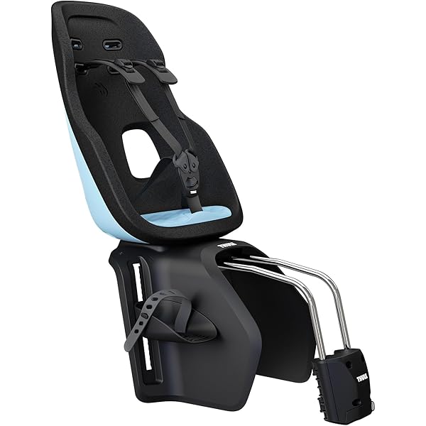 Amazon.com : Thule Yepp Nexxt 2 Maxi Rack Mount Child Bike Snow