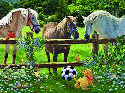 Wanna Play - A 1000 Piece Jigsaw Puzzle by SunsOut